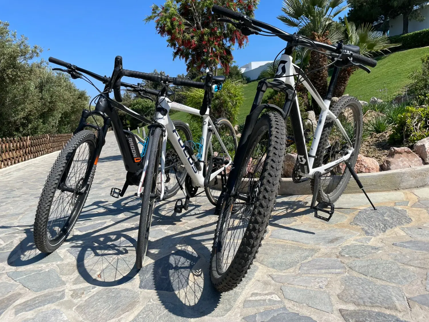 Mountain Bikes
